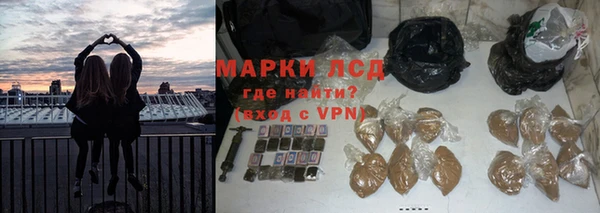 ешки Богданович