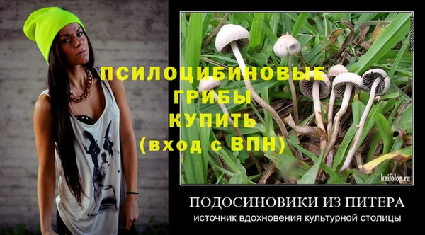 прущие крисы Заводоуковск