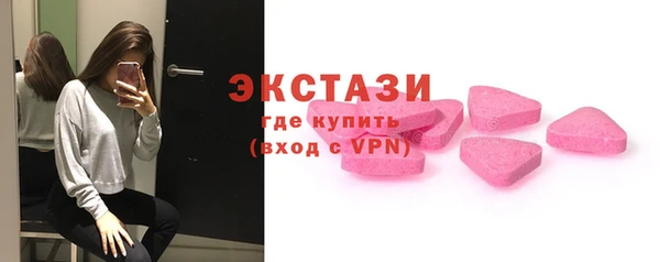 стаф Богородск