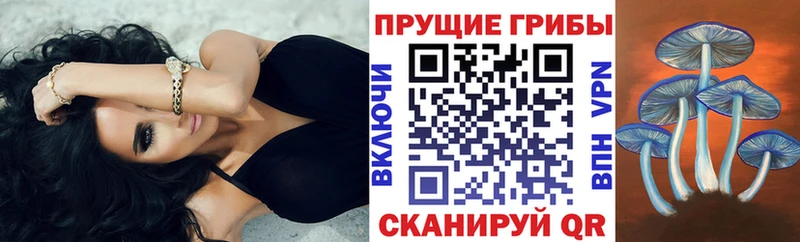 Галлюциногенные грибы Magic Shrooms  купить   Вихоревка 